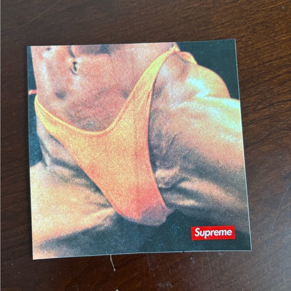 Supreme Butthole Surfers Collab Sticker - Picture 1 of 2